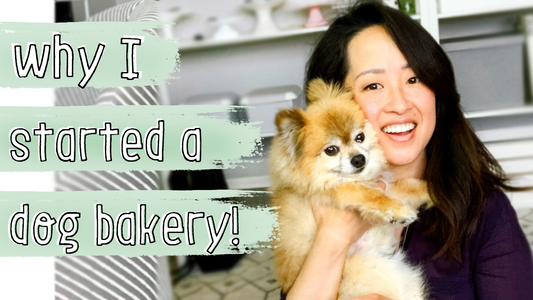 Why I started Bobby + Bambi's Dog Bakery