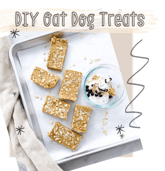 DIY Oat Dog Treat Recipes | Fruit & Yogurt Parfait and PB Rolled Oats Bars