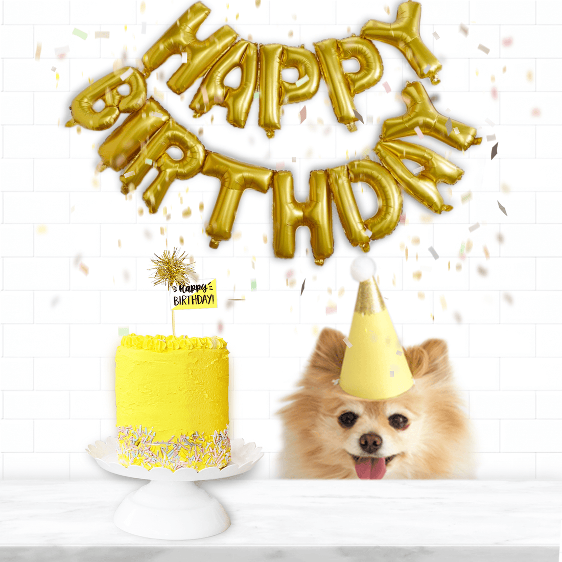 Celebrate your Dog's Birthday Party with a Dog Birthday Cake from our dog bakery