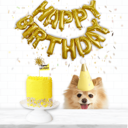 Celebrate your Dog's Birthday Party with a Dog Birthday Cake from our dog bakery
