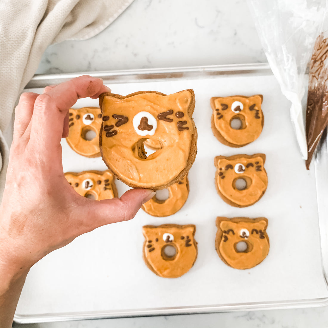 DIY Dog Treats Recipe // Homemade decorated Cat Donut Cookies
