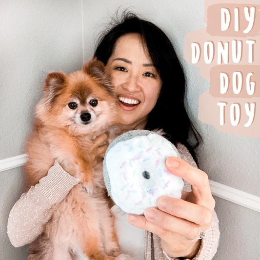 DIY Donut Dog Toy