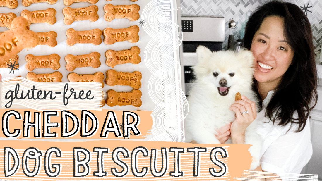 Cheddar Dog Biscuit Recipe