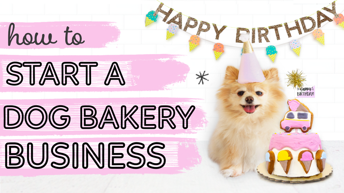 How to start a dog bakery business