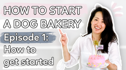 How to Start a Dog Bakery Treat Business