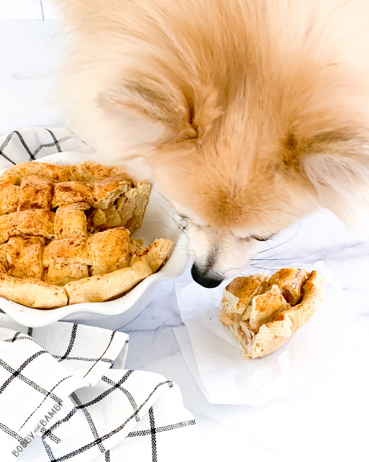 How to start a dog bakery business with Dog Bakery Academy! Dog